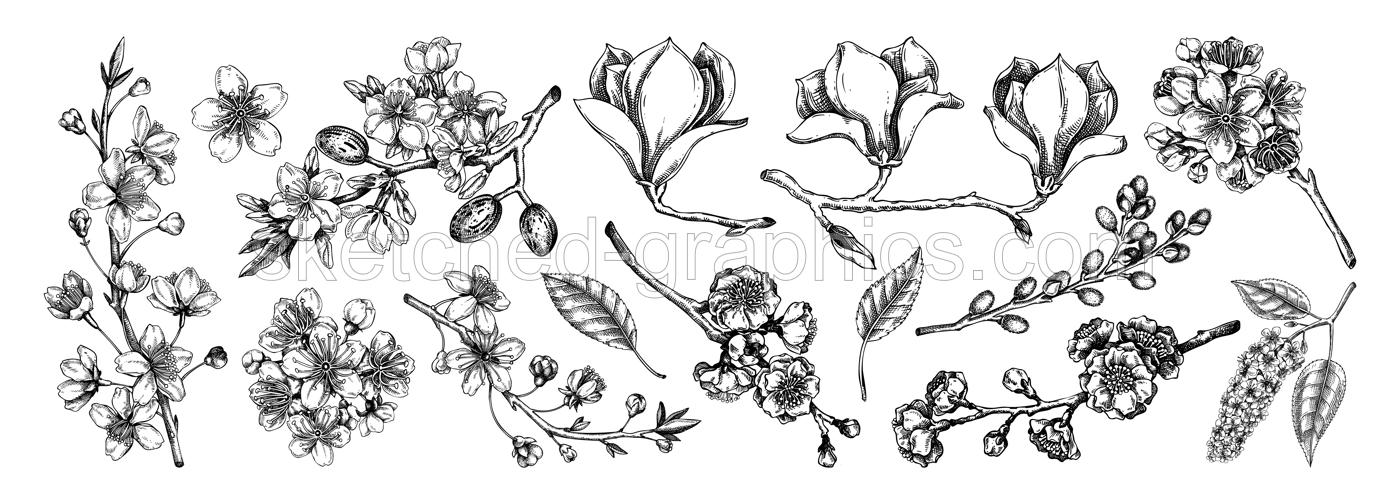 Spring blooming branches sketches. Hand-drawn botanical illustrations set. Floral design. NOT AI genereted Illustration
